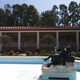 Illustration for article titled Pictures from the Getty Villa